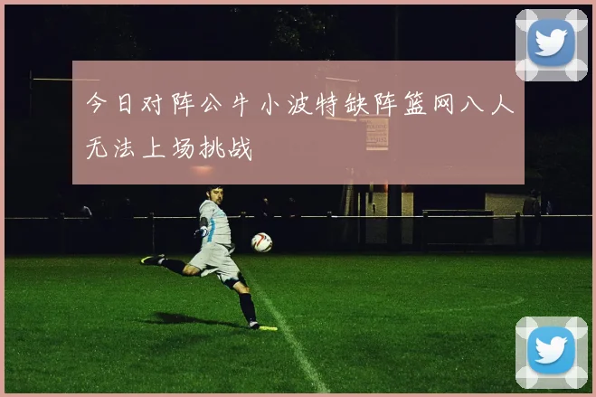今日对阵公牛小波特缺阵篮网八人无法上场挑战