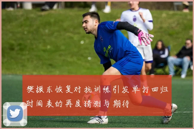 樊振东恢复对抗训练引发单打回归时间表的再度猜测与期待
